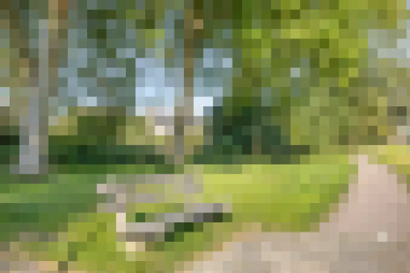 Wilgenlaan 8 Schagen thumbnail 51