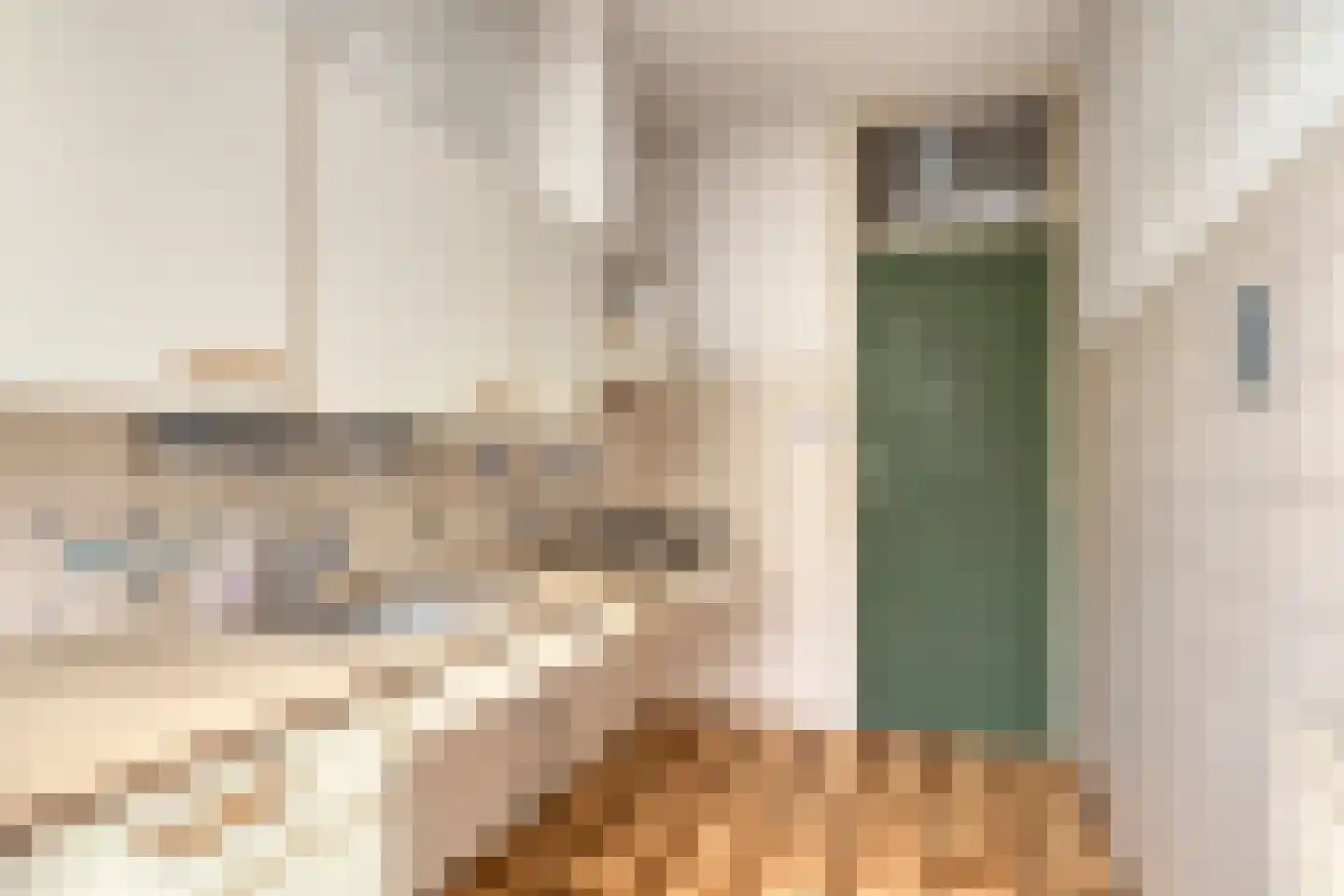 Wilgenlaan 8 Serooskerke thumbnail 14