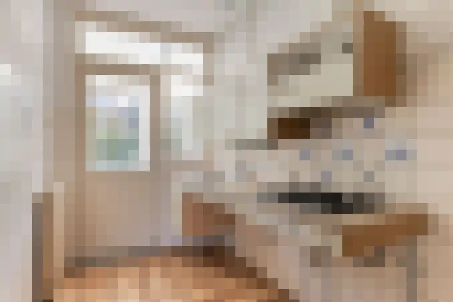Wilgenlaan 8 Serooskerke thumbnail 15