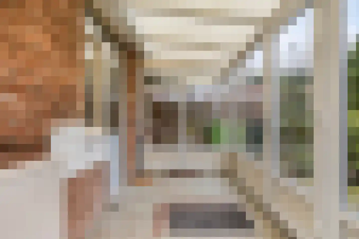 Wilgenlaan 8 Serooskerke thumbnail 17