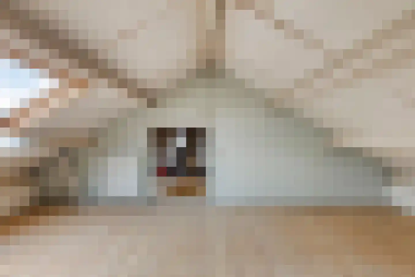 Wilgenlaan 8 Serooskerke thumbnail 19