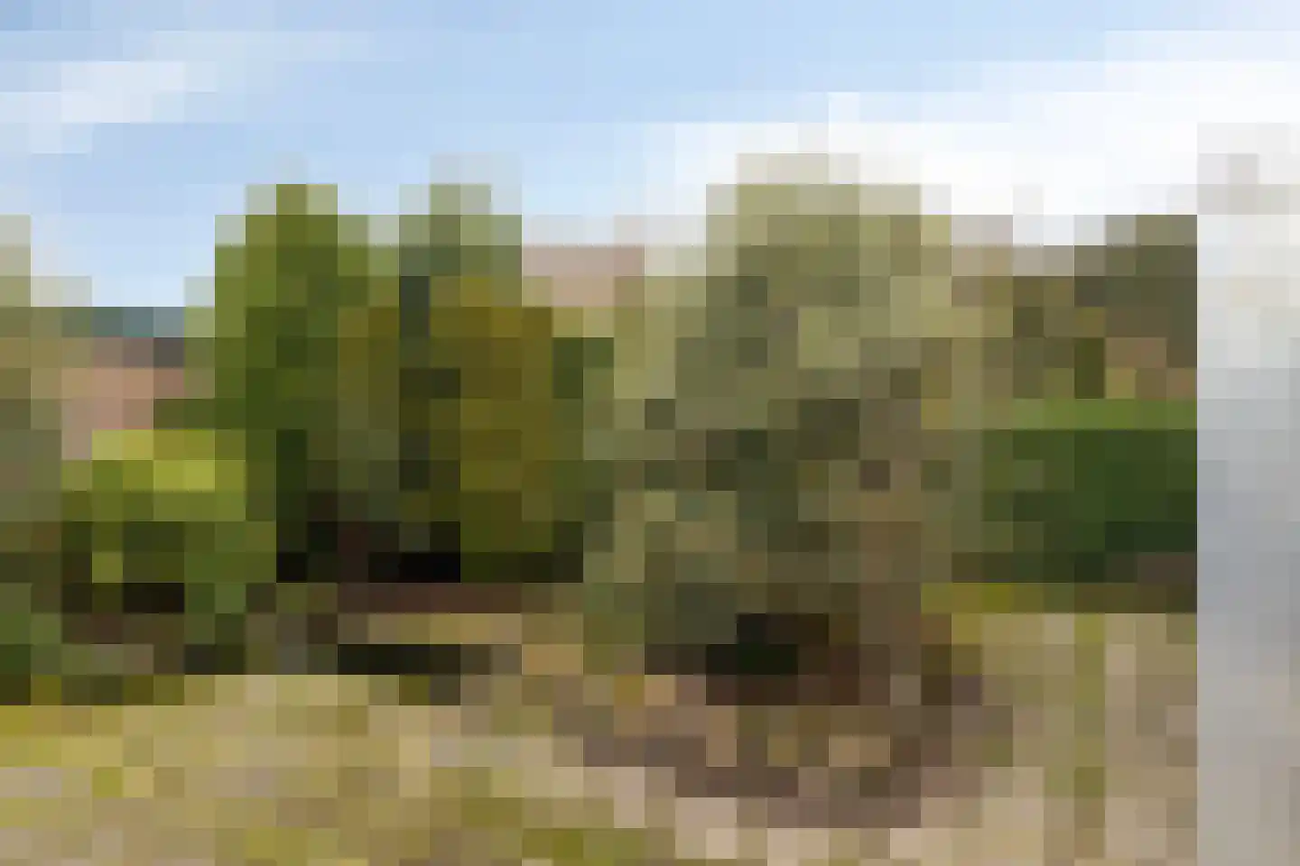 Wilgenlaan 8 Serooskerke thumbnail 22
