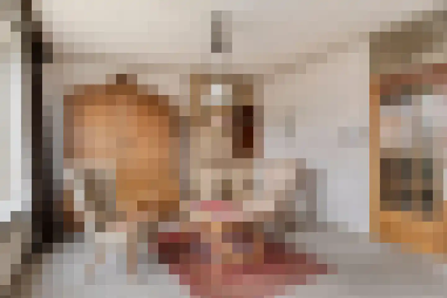 Wilgenlaan 8 Serooskerke thumbnail 4