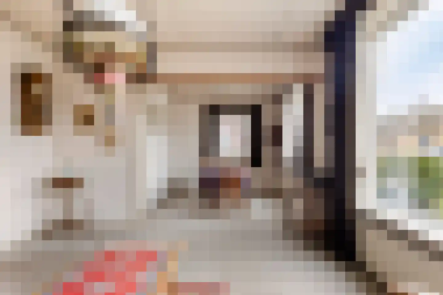 Wilgenlaan 8 Serooskerke thumbnail 5