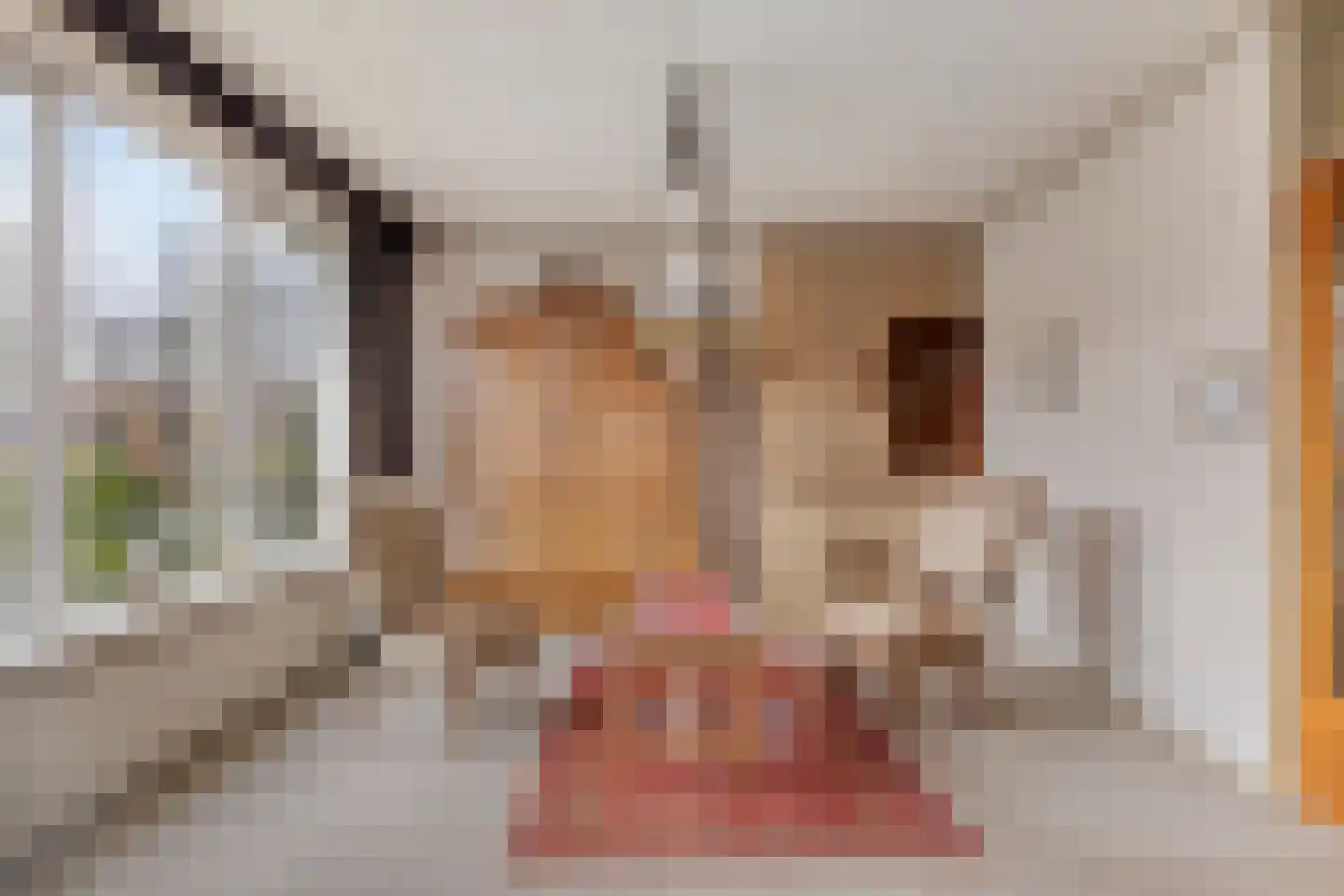 Wilgenlaan 8 Serooskerke thumbnail 7