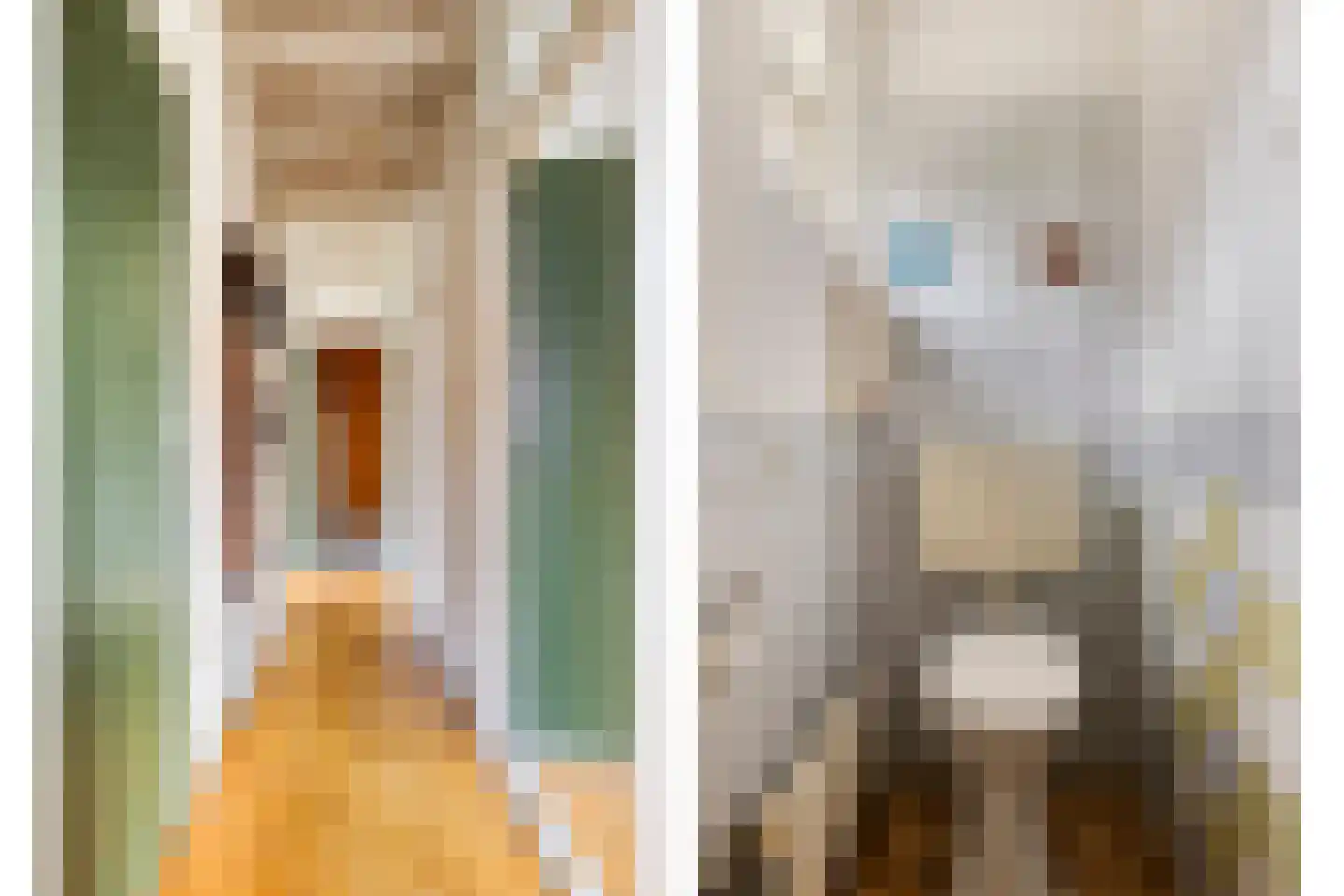 Wilgenlaan 8 Serooskerke thumbnail 8