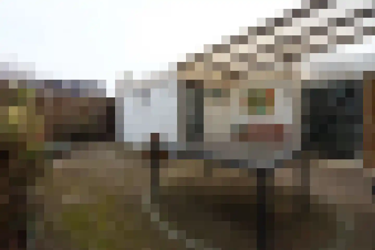 Wilgenlaan 9 Beek thumbnail 4