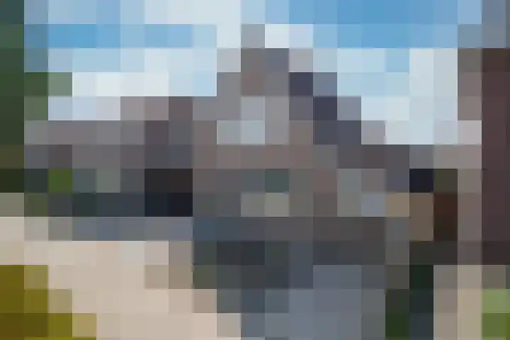 Wilgenlaan 9 Belt-Schutsloot thumbnail 11