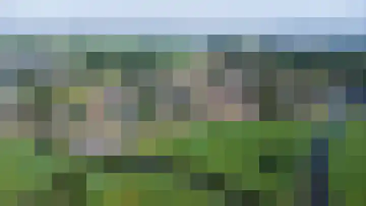Wilgenlaan 9 Belt-Schutsloot thumbnail 32