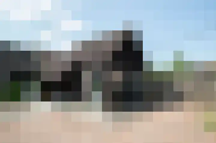 Wilgenlaan 9 Belt-Schutsloot thumbnail 35