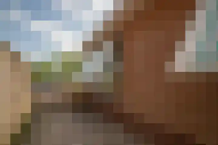 Wilgenlaan 9 Belt-Schutsloot thumbnail 37