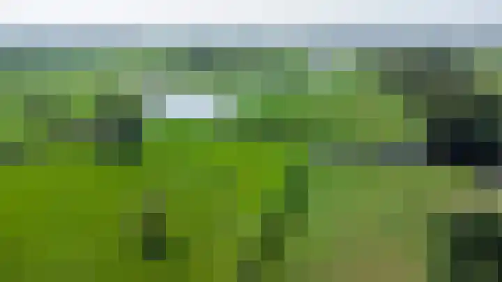 Wilgenlaan 9 Belt-Schutsloot thumbnail 6