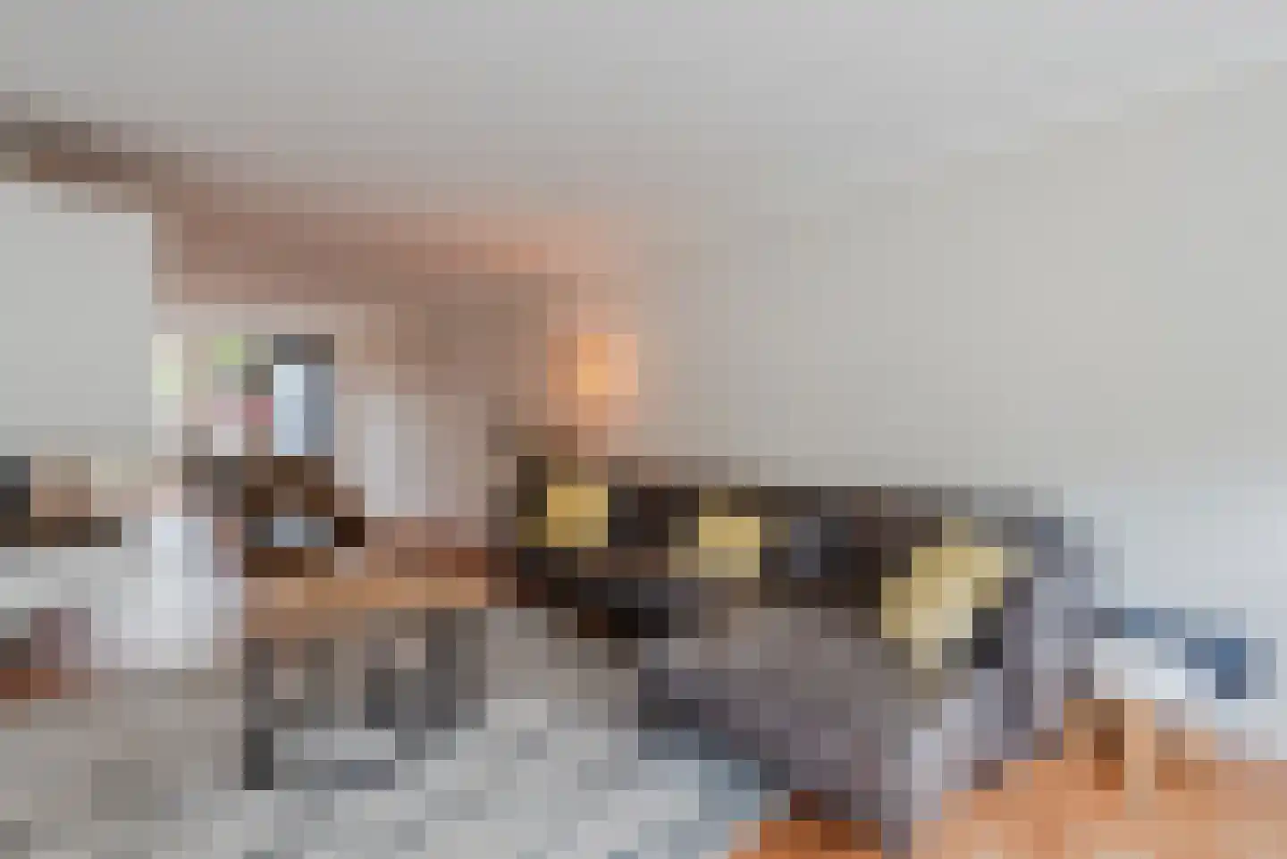 Wilgenlaan 9 Harderwijk thumbnail 11