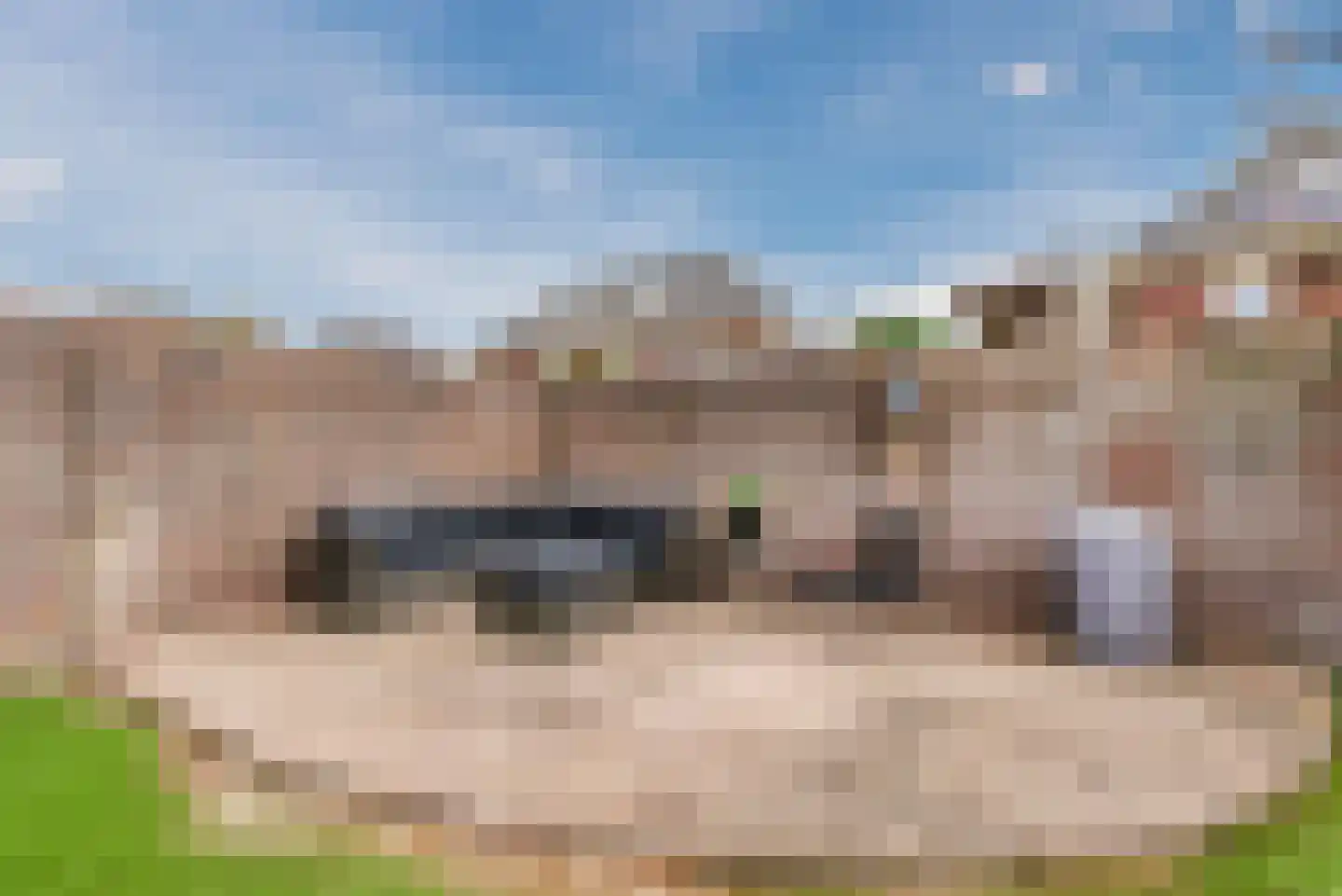 Wilgenlaan 9 Harderwijk thumbnail 44