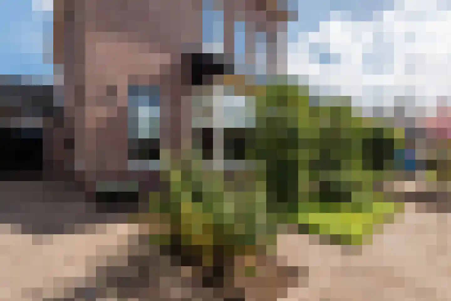 Wilgenlaan 9 Harderwijk thumbnail 58