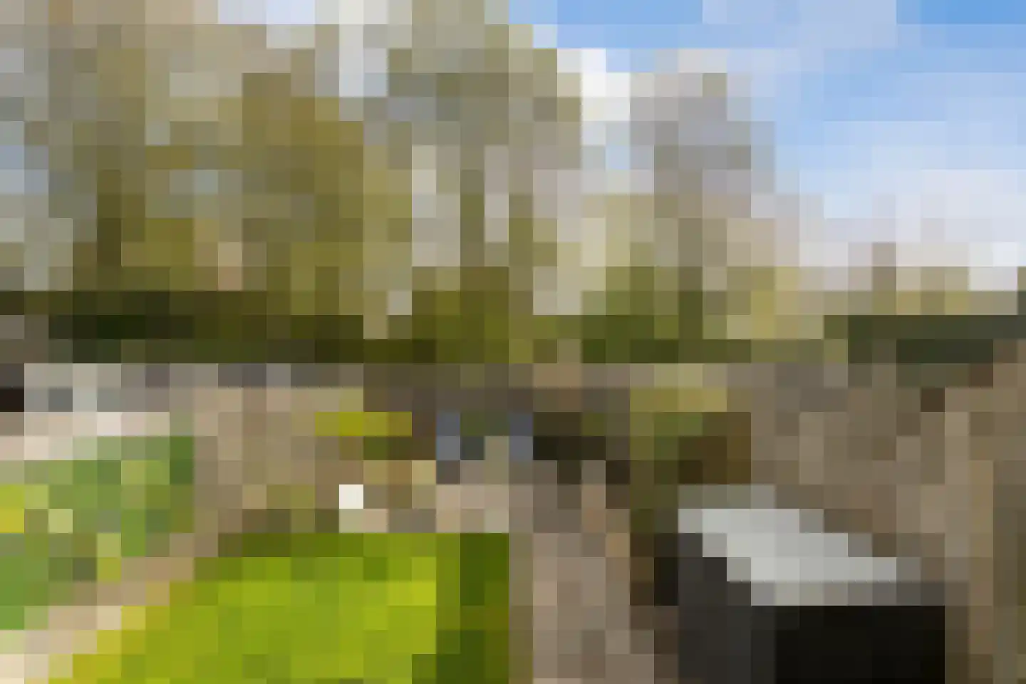 Wilgenlaan 93 Etten-Leur thumbnail 31