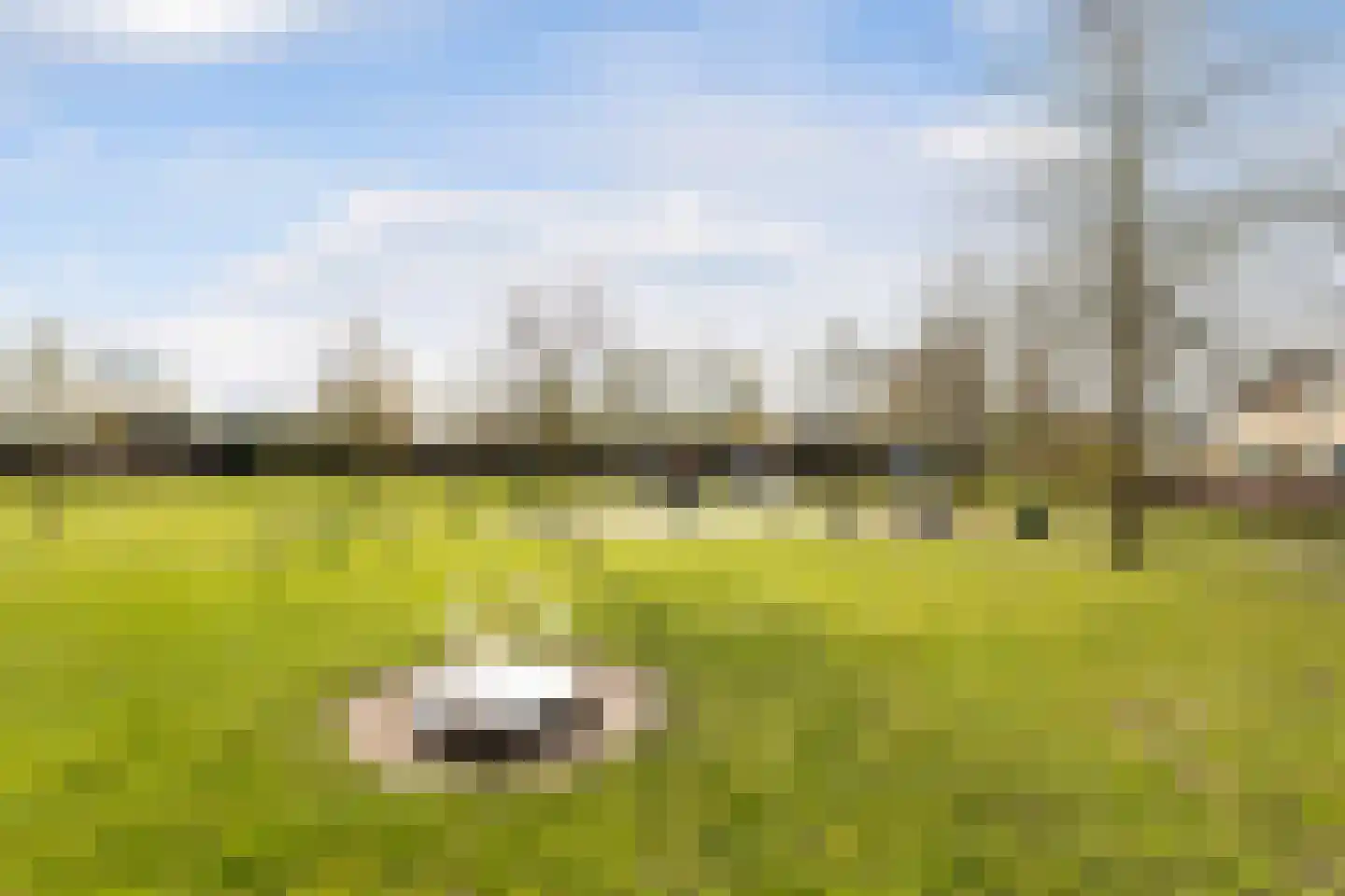 Wilgenlaan 93 Etten-Leur thumbnail 32
