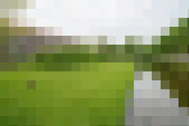 Wilgenlei 104 C Rotterdam thumbnail 22