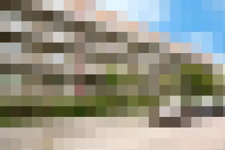 Wilgenlei 104 C Rotterdam thumbnail 25