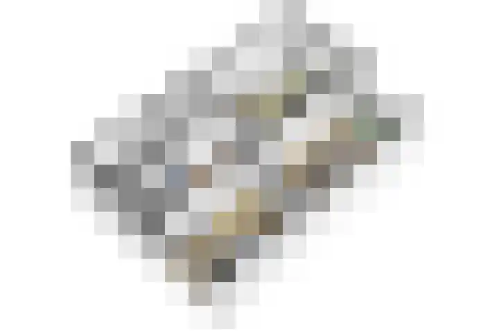 Wilgenlei 104 C Rotterdam thumbnail 27