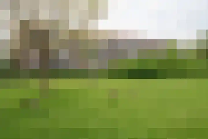 Wilgenlei 104 C Rotterdam thumbnail 5