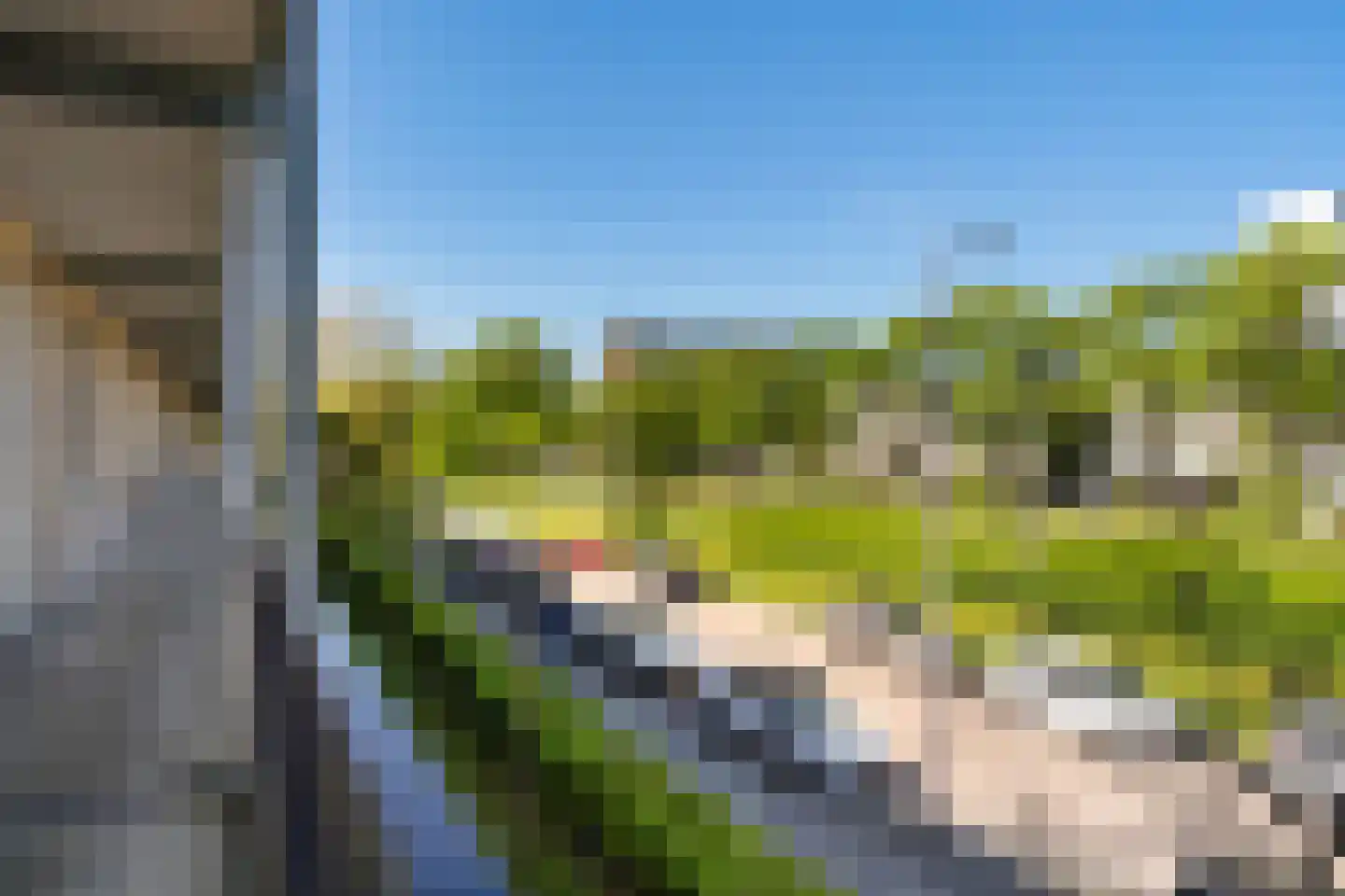Wilgenlei 106 B Rotterdam thumbnail 28