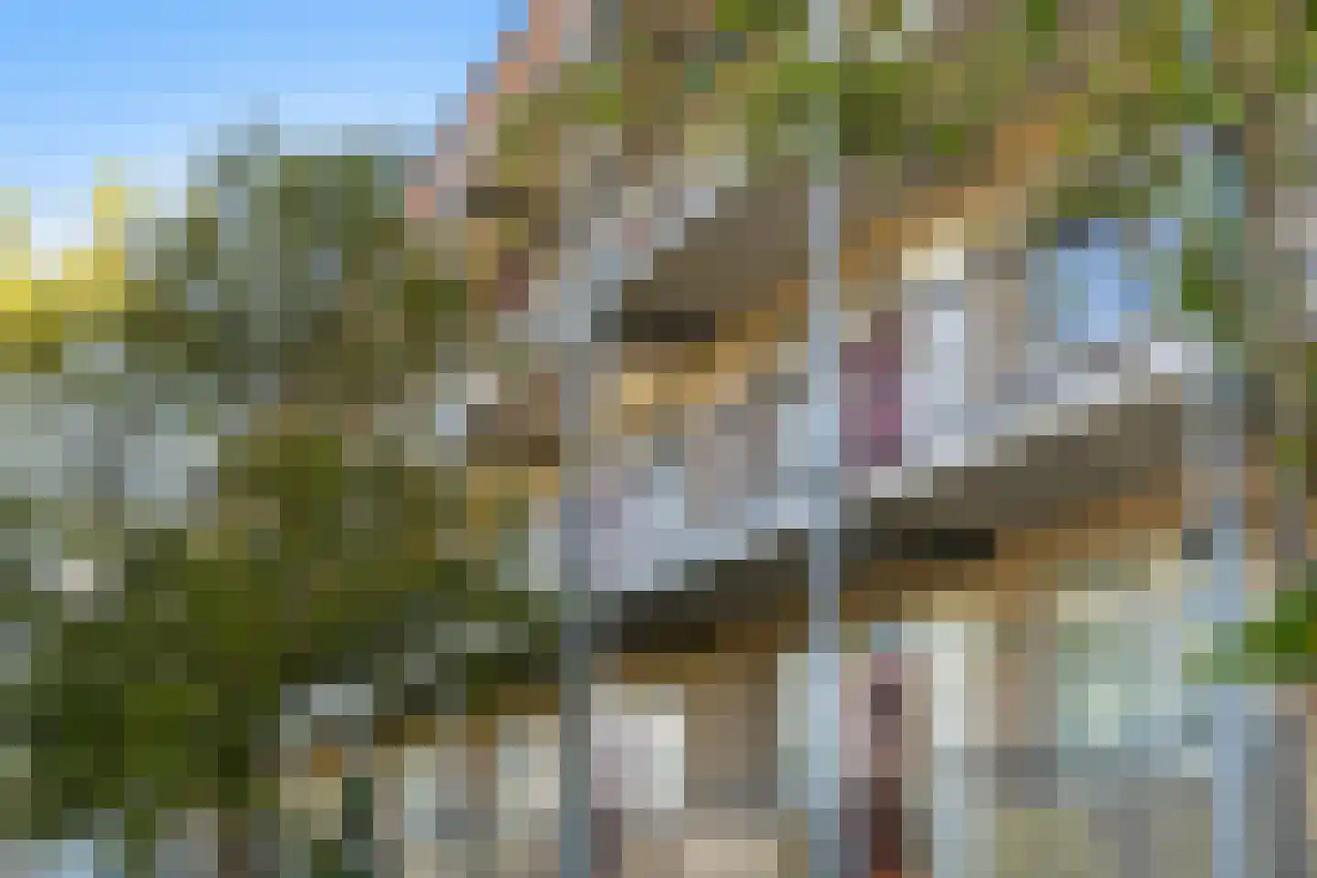 Wilgenlei 106 B Rotterdam thumbnail 32