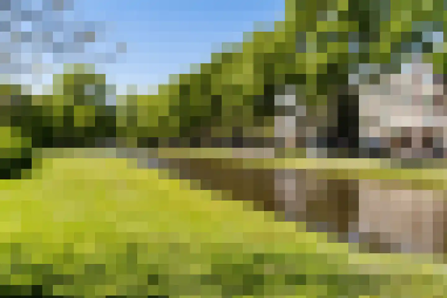 Wilgenlei 106 B Rotterdam thumbnail 35