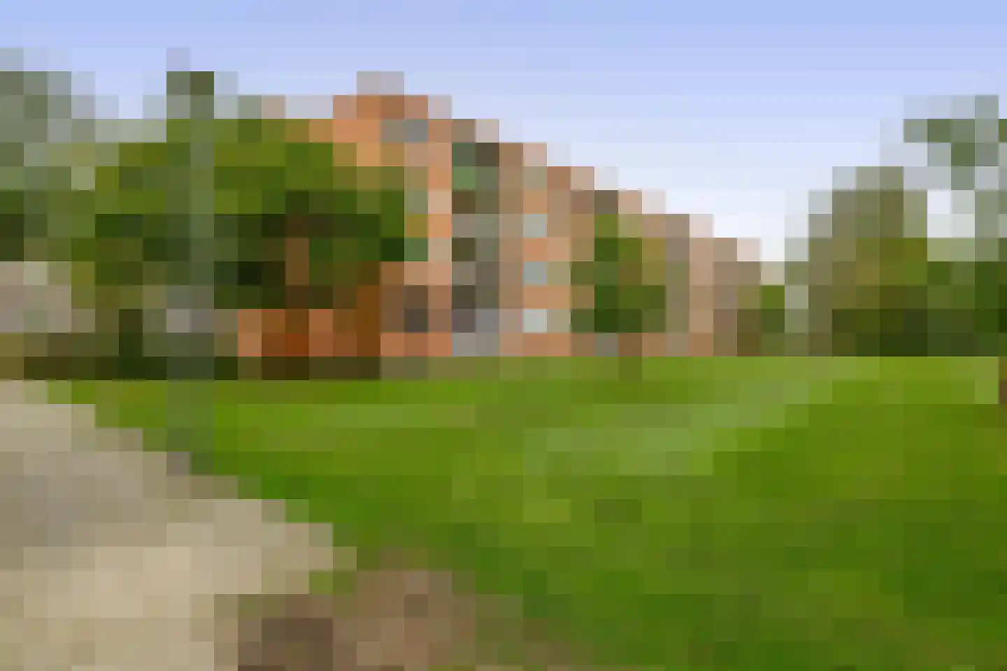 Wilgenlei 108 C Rotterdam thumbnail 31