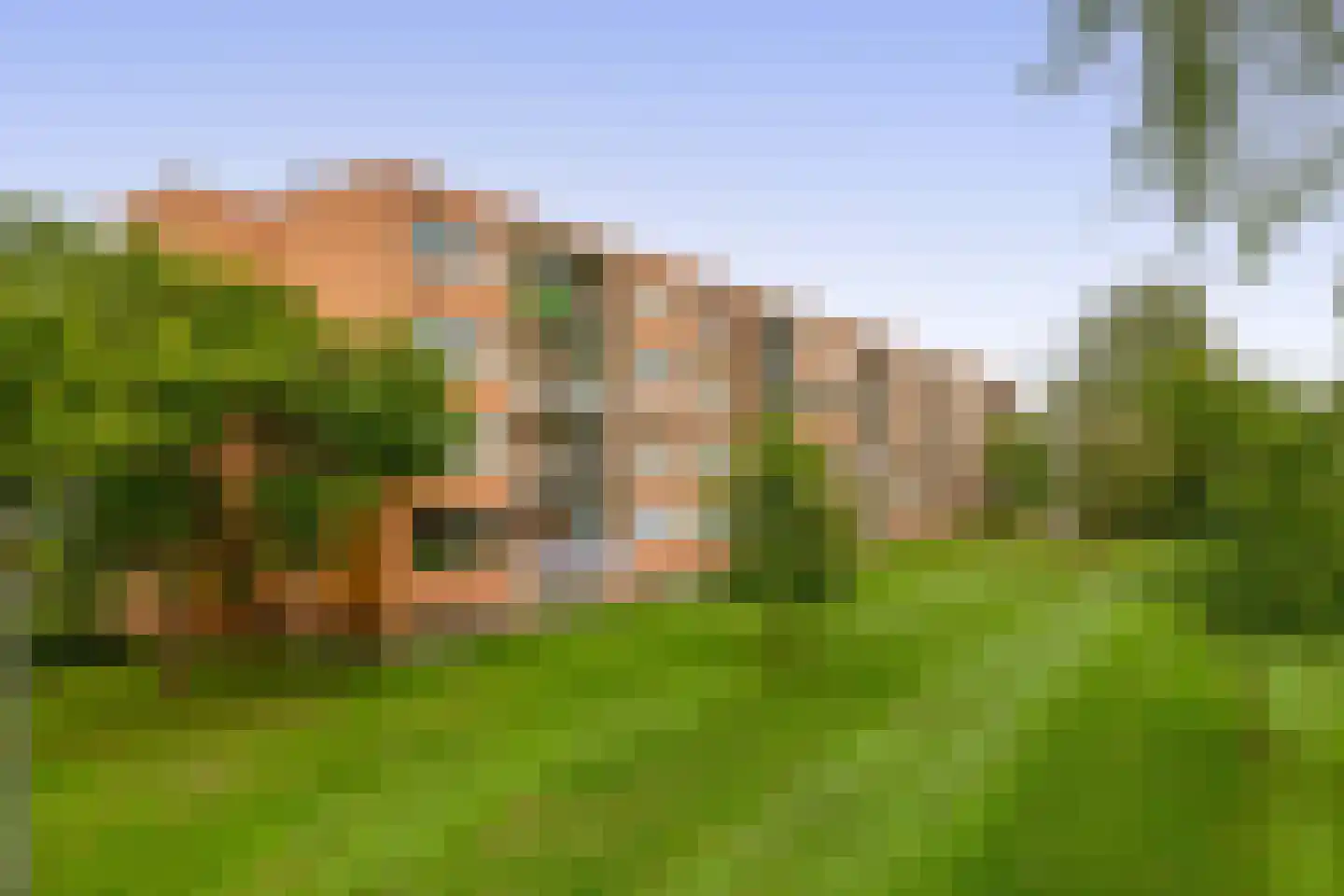 Wilgenlei 108 C Rotterdam thumbnail 32