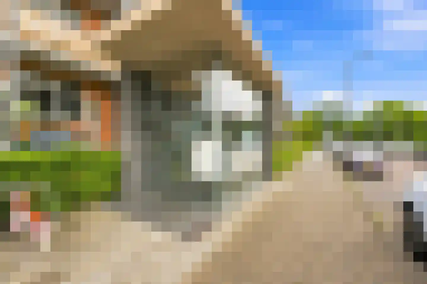 Wilgenlei 114 A Rotterdam thumbnail 22