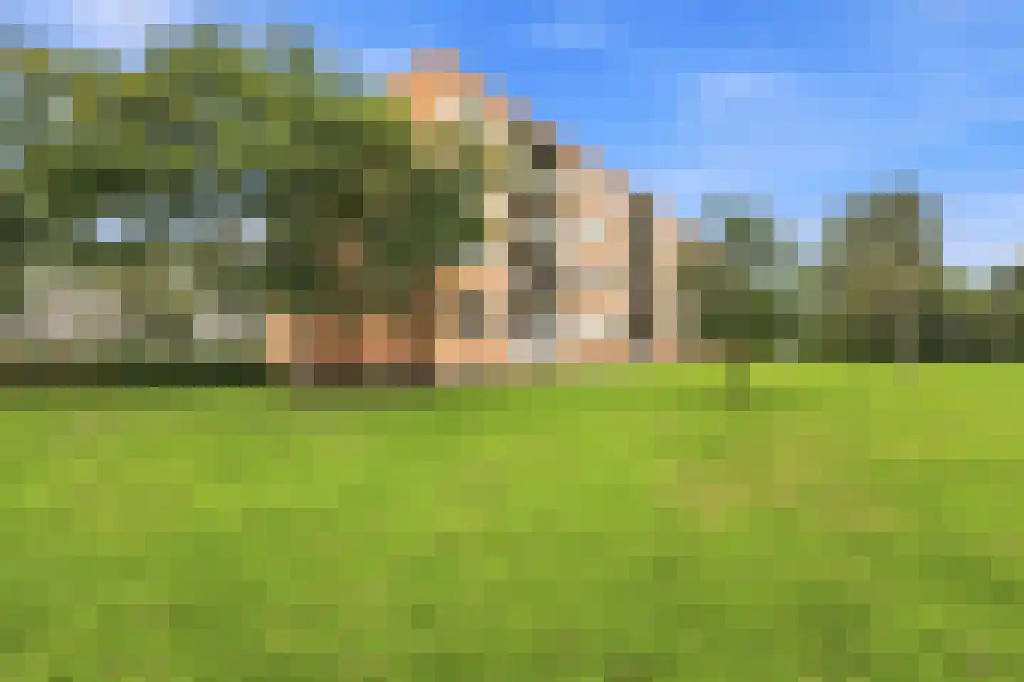 Wilgenlei 114 A Rotterdam thumbnail 28