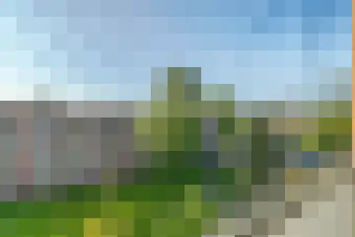 Wilgenlei 114 C Rotterdam thumbnail 20