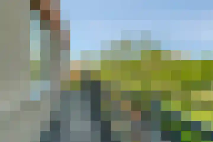 Wilgenlei 114 C Rotterdam thumbnail 21