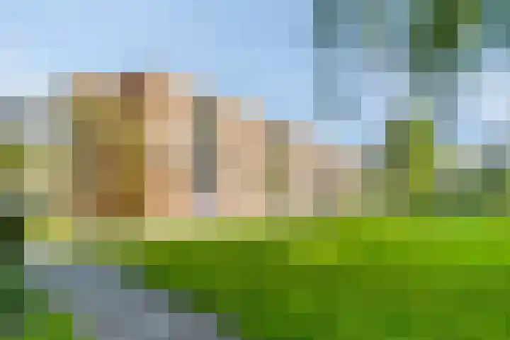 Wilgenlei 114 C Rotterdam thumbnail 24