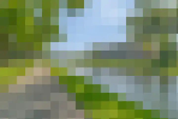 Wilgenlei 114 C Rotterdam thumbnail 27