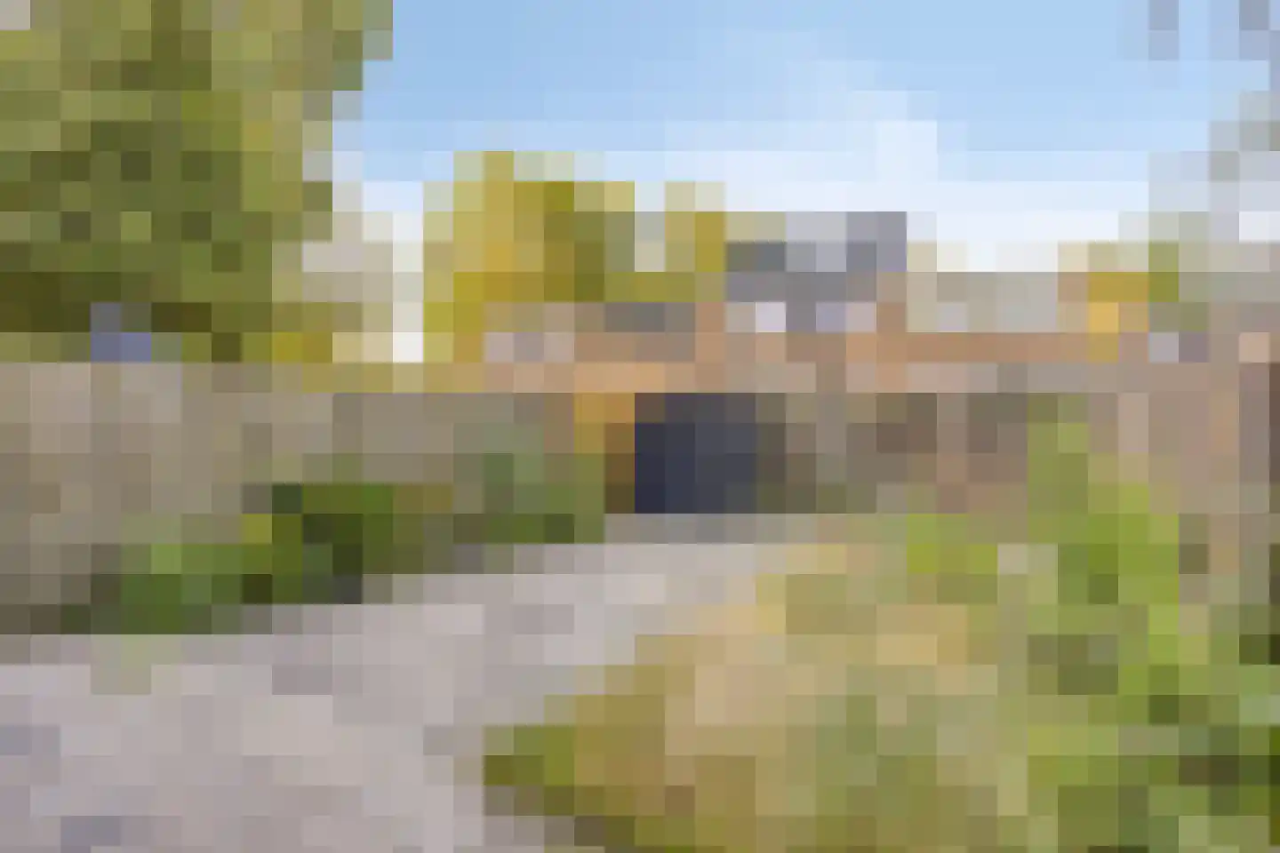 Wilgenlei 24 Rotterdam thumbnail 26
