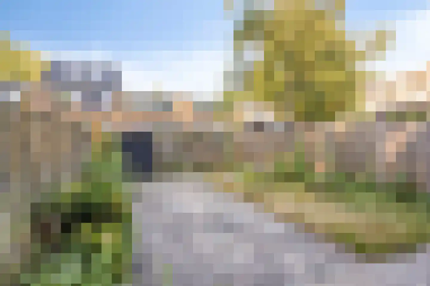 Wilgenlei 24 Rotterdam thumbnail 28