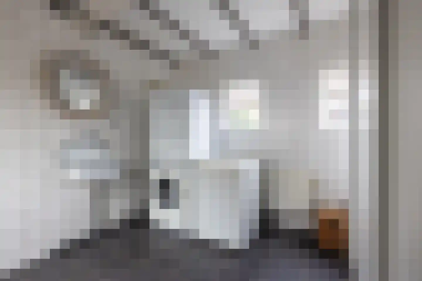 Wilgenlei 59 Bleiswijk thumbnail 15