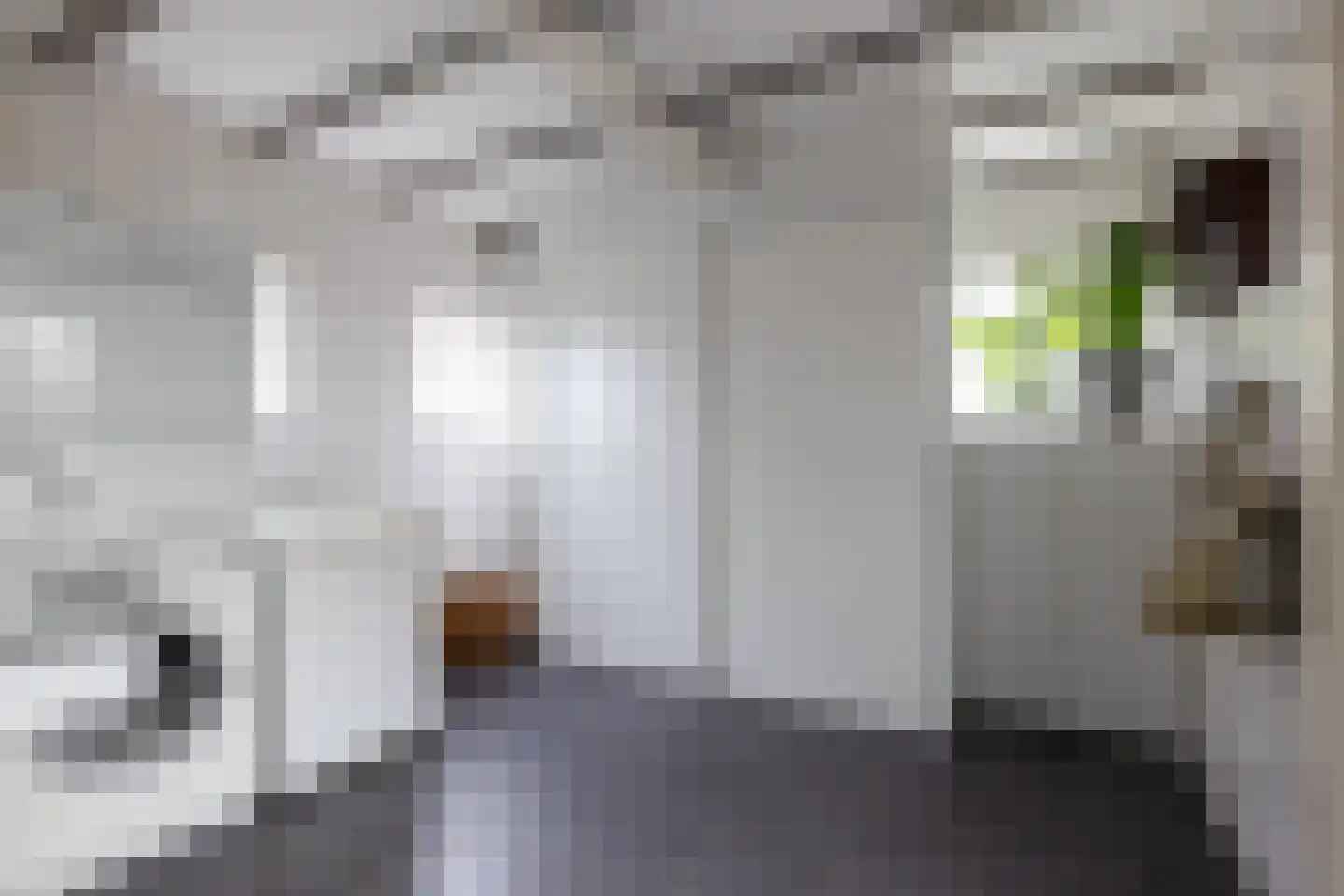 Wilgenlei 59 Bleiswijk thumbnail 16