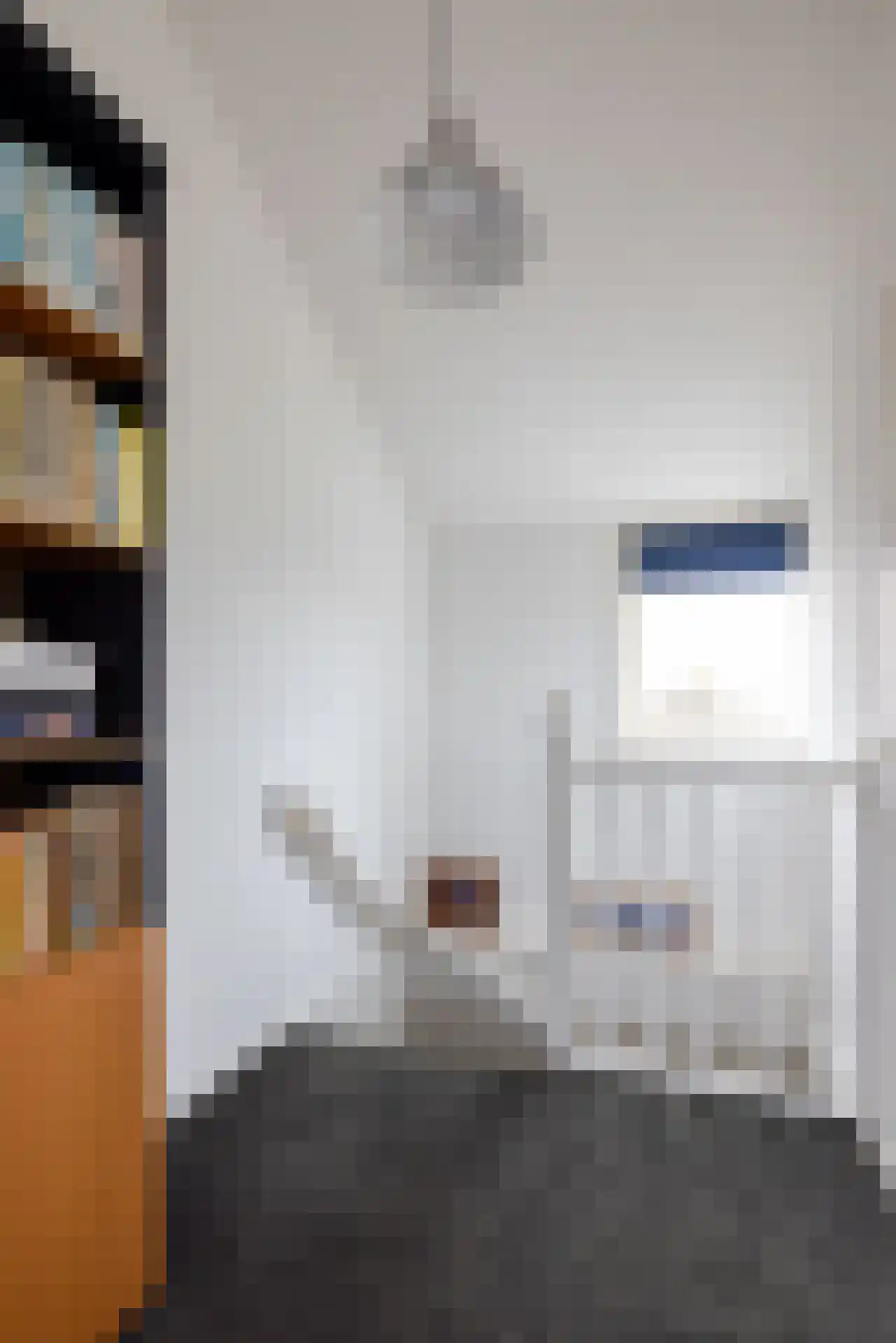 Wilgenlei 59 Bleiswijk thumbnail 32