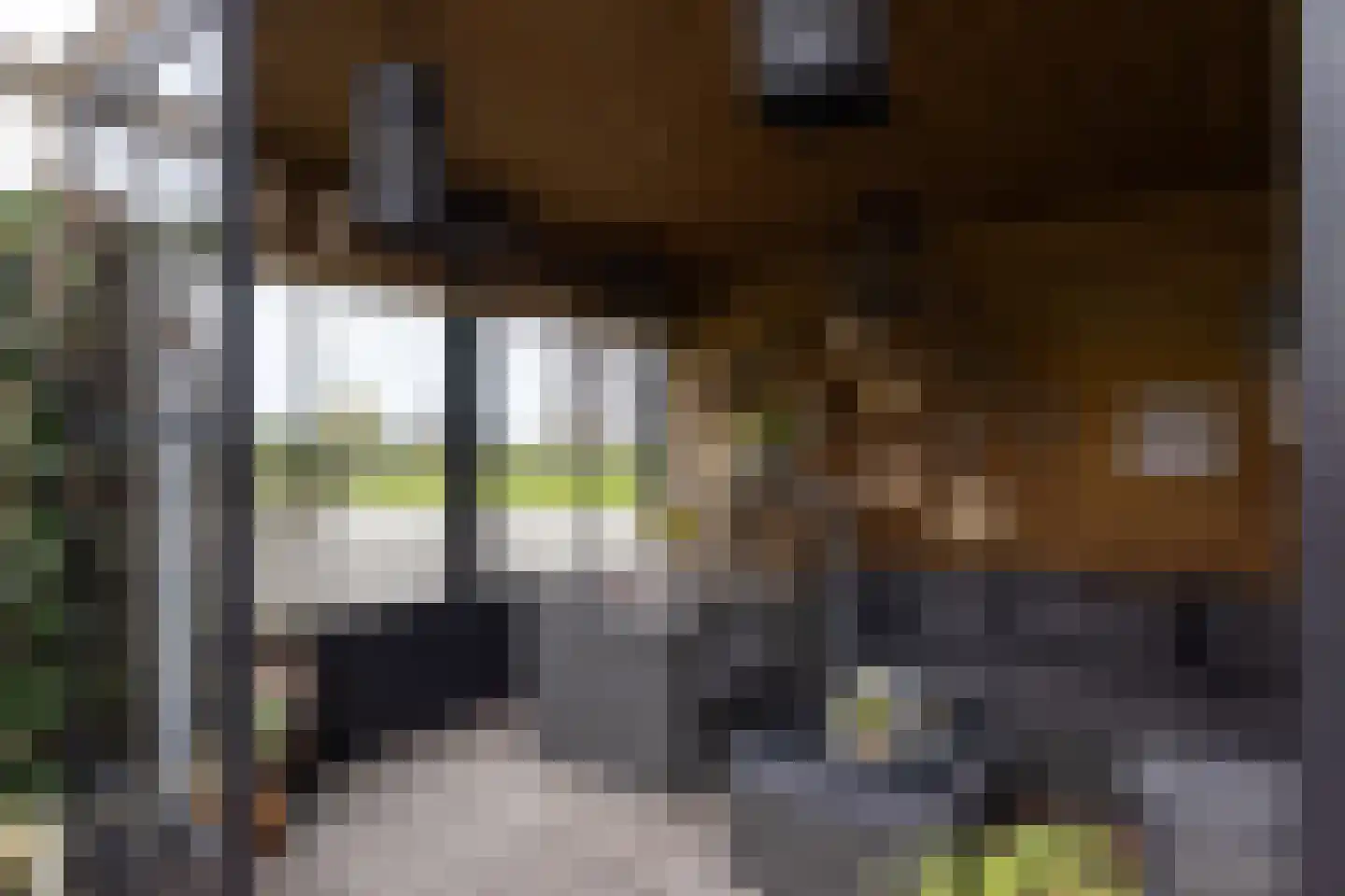 Wilgenlei 59 Bleiswijk thumbnail 4