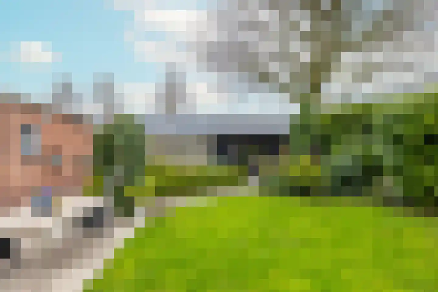 Wilgenlei 59 Bleiswijk thumbnail 45