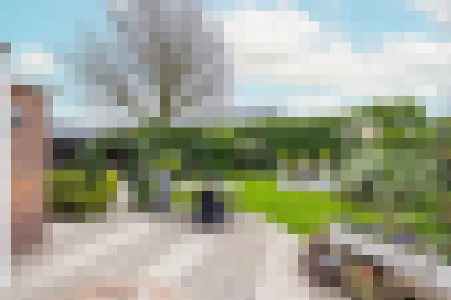 Wilgenlei 59 Bleiswijk thumbnail 46