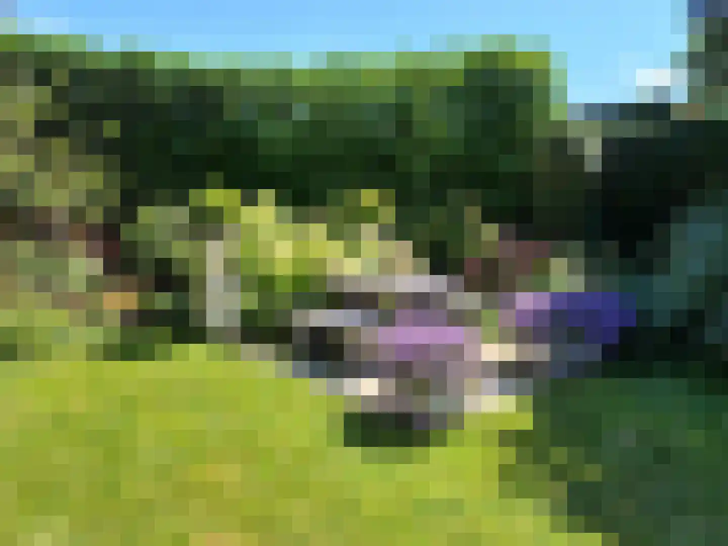 Wilgenlei 59 Bleiswijk thumbnail 48