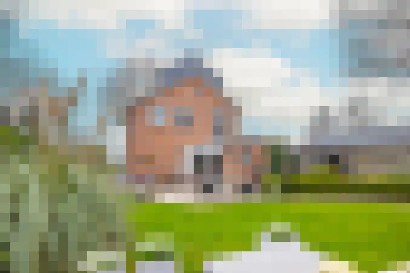 Wilgenlei 59 Bleiswijk thumbnail 5