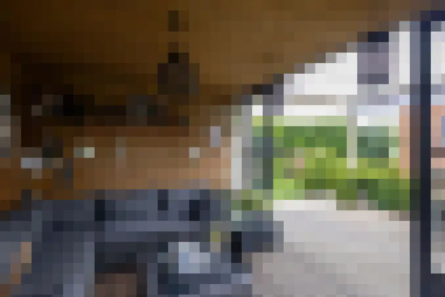 Wilgenlei 59 Bleiswijk thumbnail 54