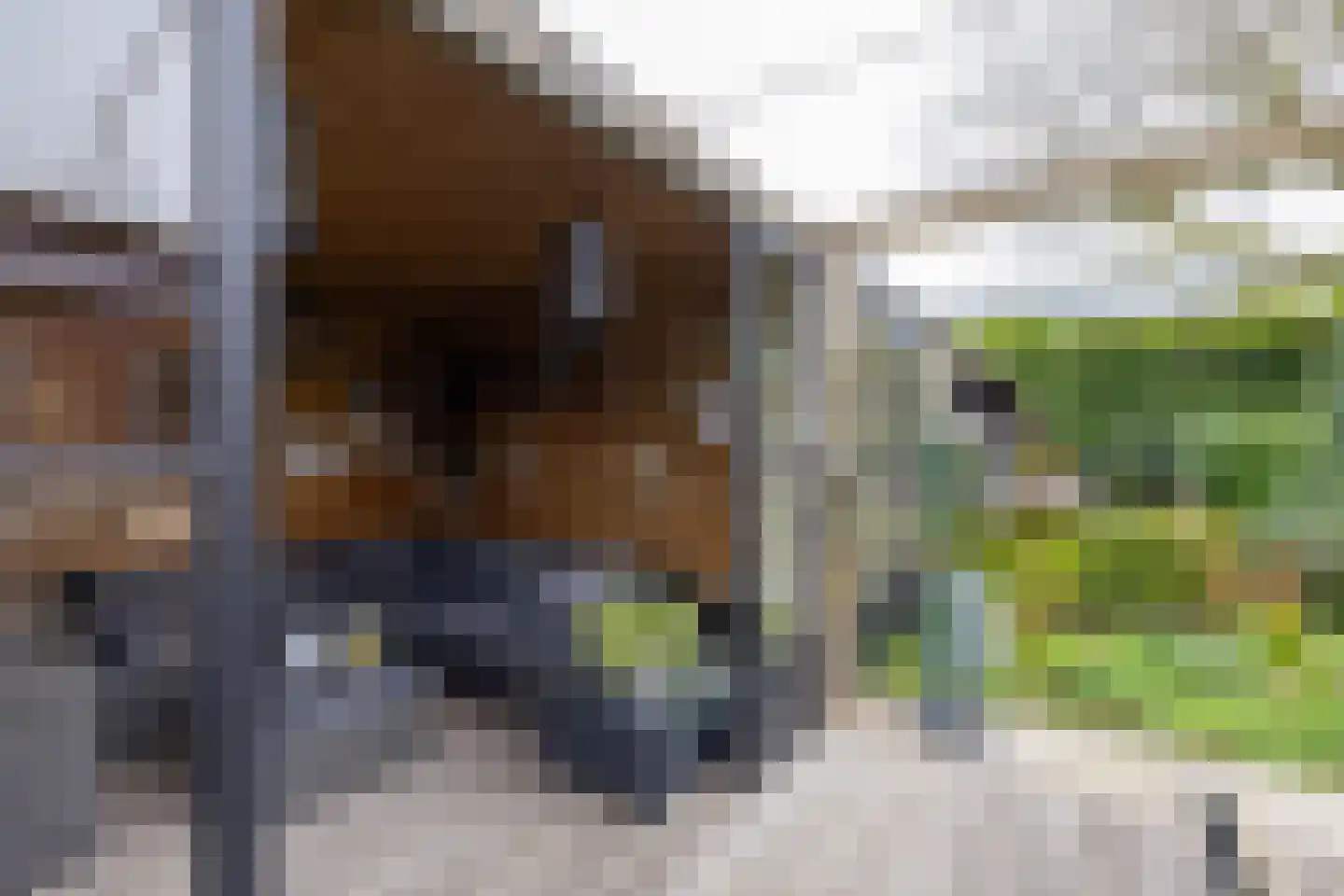 Wilgenlei 59 Bleiswijk thumbnail 56