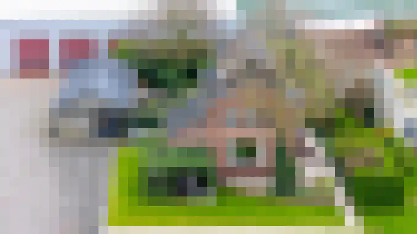 Wilgenlei 59 Bleiswijk thumbnail 60