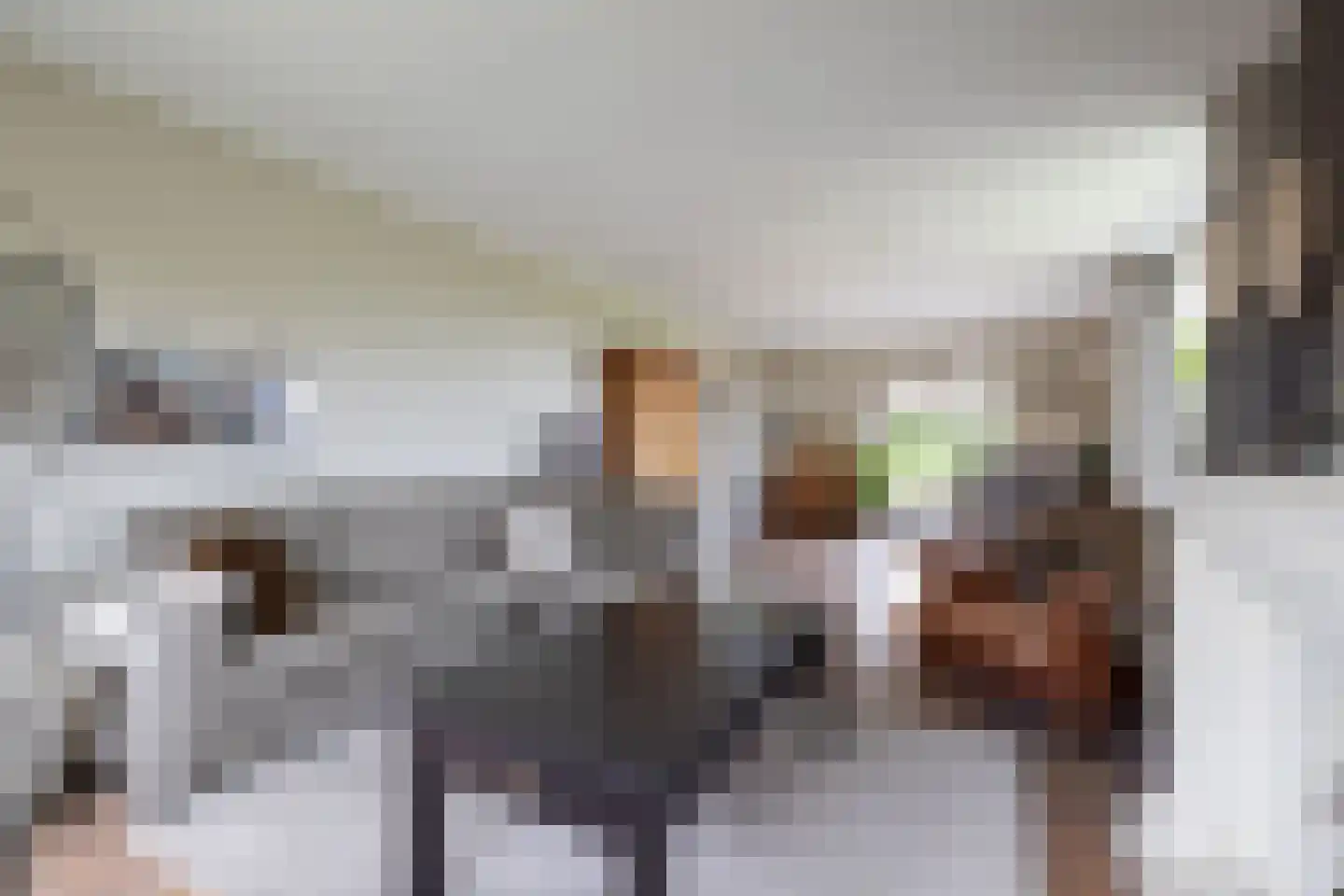 Wilgenlei 59 Bleiswijk thumbnail 7